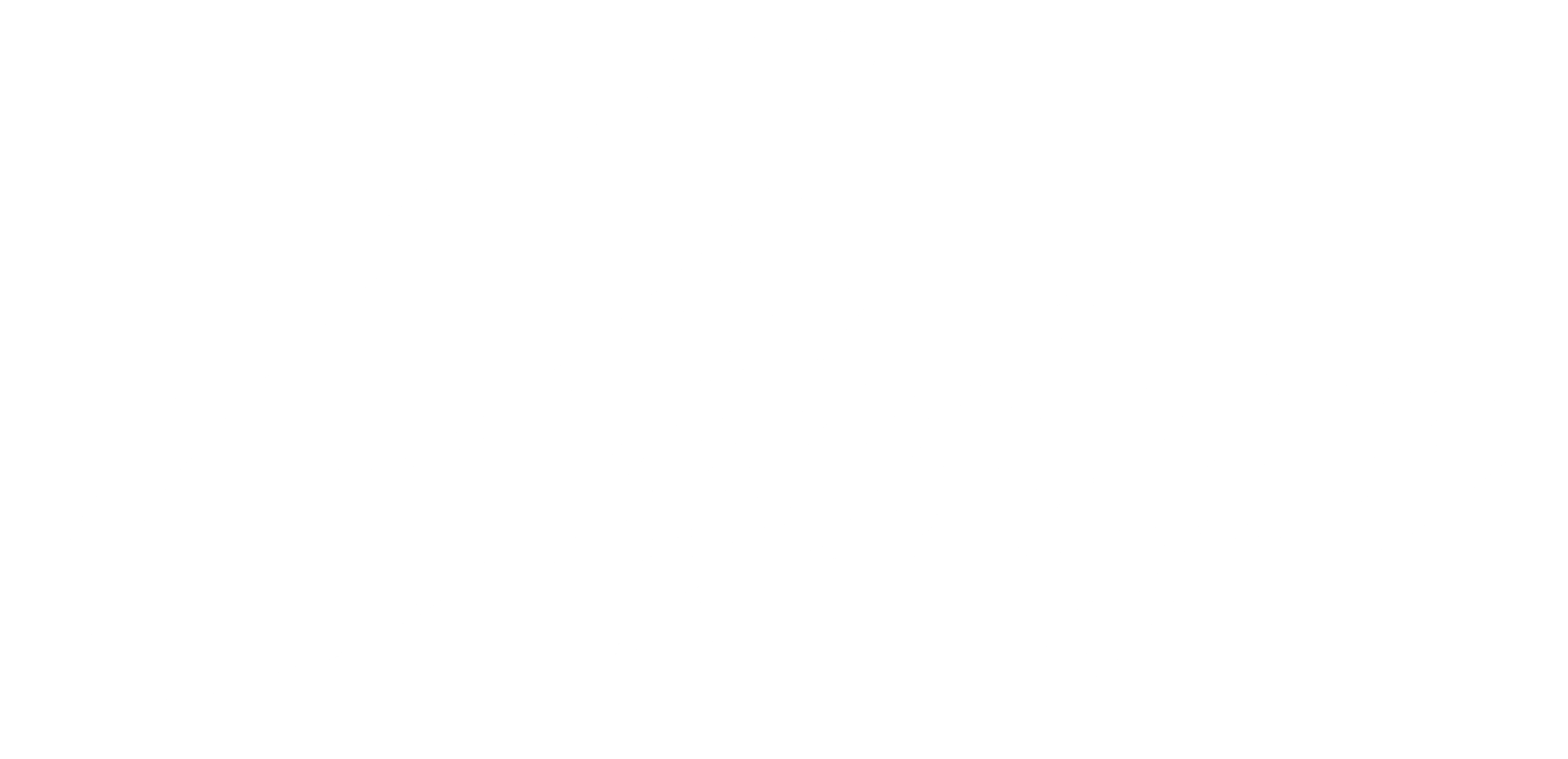 CITYBOYZ STORE